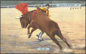 Action in bull fight. The kill