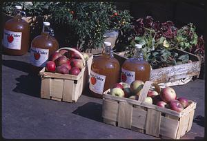 Baskets of apples and bottles of cider