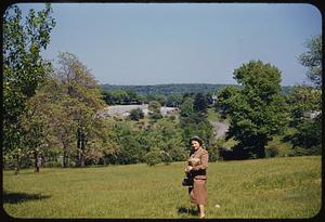 Phil Lombardi, Arnold Arboretum