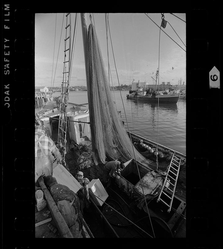 Fishing boats and fishermen, Gloucester