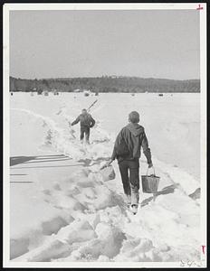 Heading out to their ice fishing shacks on lake Winnipesaukee - N.H.
