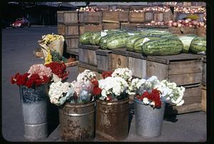 Flowers, watermelons and apples for sale outdoors on Dock Square