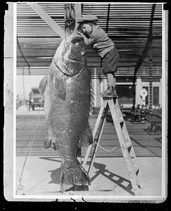 A boy looking into the mouth of a large fish