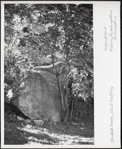 Hancock Woods, West Roxbury