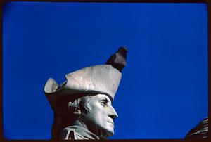 Bird on head of George Washington statue, Boston Public Garden, Boston