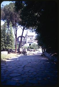 Palatine Hill, Rome, Italy