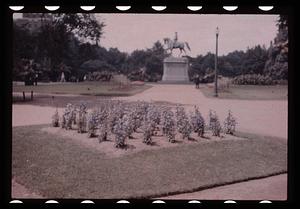 Boston Public Garden