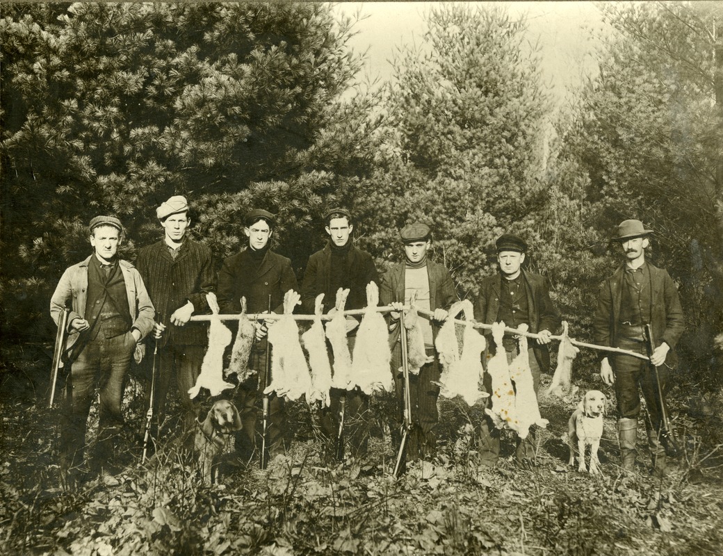Rabbit hunting, Buckland, Mass., circa 1930