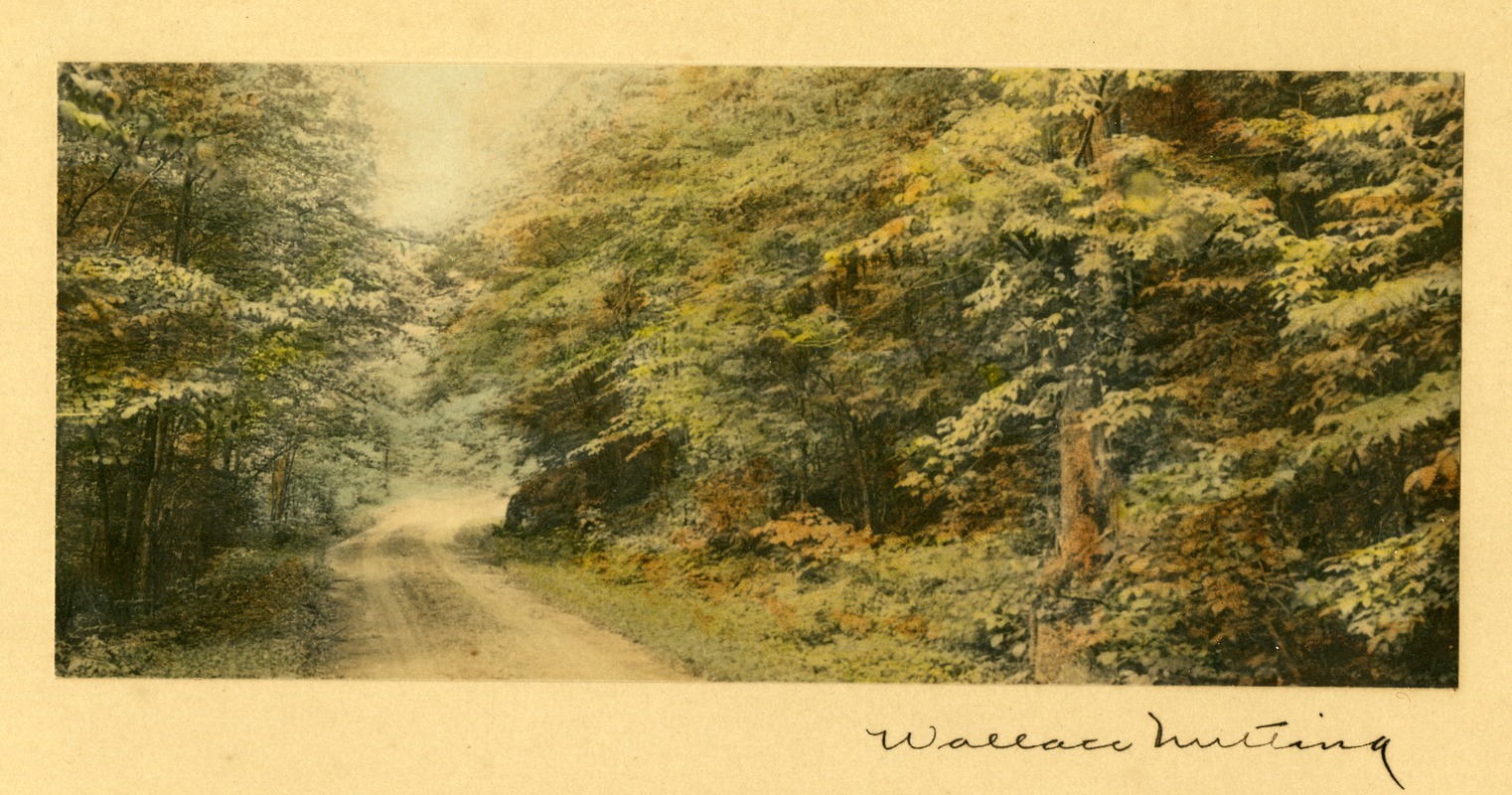 Wallace Nutting' untitled signed photograph of a country road lined with  trees - Digital Commonwealth