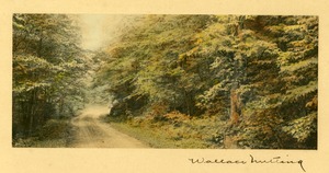 Wallace Nutting' untitled signed photograph of a country road lined with trees