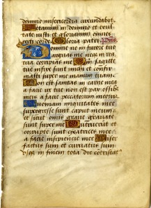 Illuminated Page From a Medieval Book of Hours
