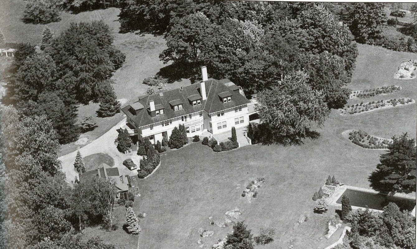 Aerial photograph of the Larches