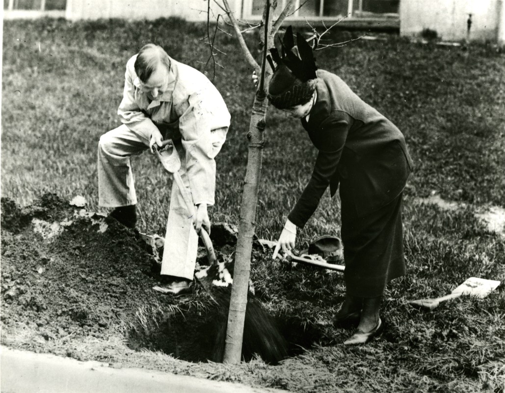 Calvin and Grace Coolidge Plant a Tree on Arbor Day