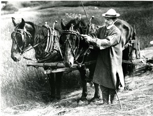 Calvin Coolidge and horses