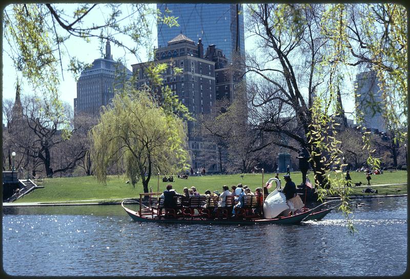 Public Garden/park in the heart of city