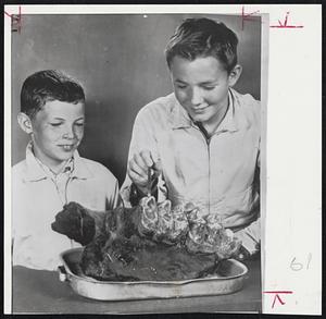 Two Boys on a turtle hunt found a mastadon jaw 7,000 years old at Battle Creek, Mich. Bruce McFarland, 13, pokes at a loose tooth in the fossil while co-discoverer Larry Bauley looks on.