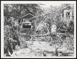 Marshfield, Storm plenty of cutting to do. Drive way to garage at home of David Hamenam of Spring St. Marshfield car has tree on top of it also