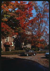 Trees showing fall foliage in front of an apartment building