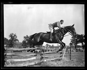 Horse jumping