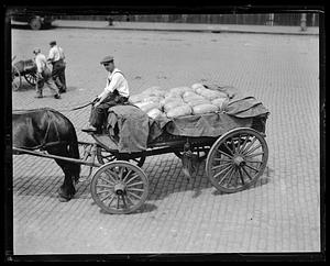 A man driving a cart filled with watermelons