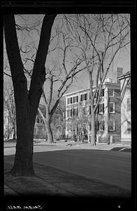 Street scene