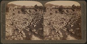 Olympia's desolated grandeur, N.E. over ground where the noblest Greek culture was developed