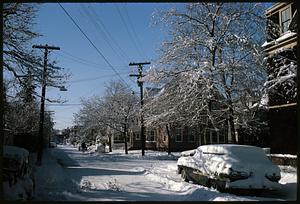 Snowy view of intersection of Carver and Museum Streets, Cambridge, Massachusetts