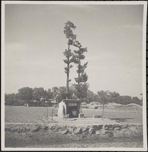 Small building in a field