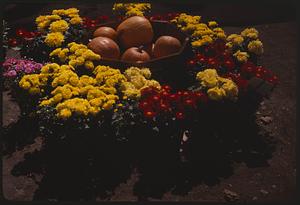 A pile of pumpkins surrounded by chrysanthemums