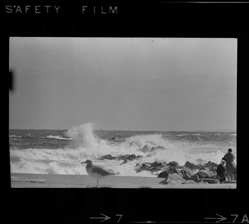 Plum Island beach and surf