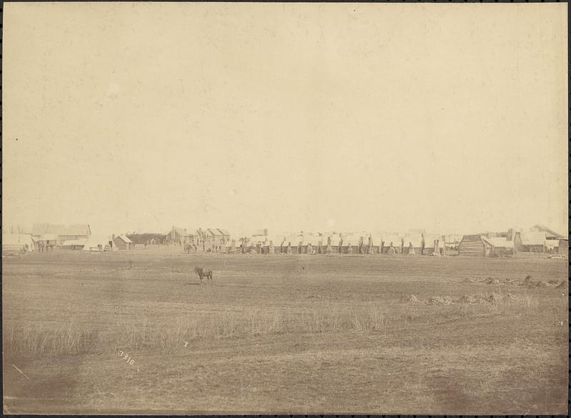 Camp of U.S. Engineer Battalion