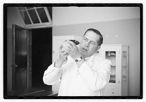 Dr. Dailey Angell Memorial Animal Hospital