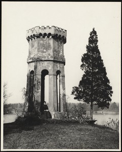 Niles estate tower