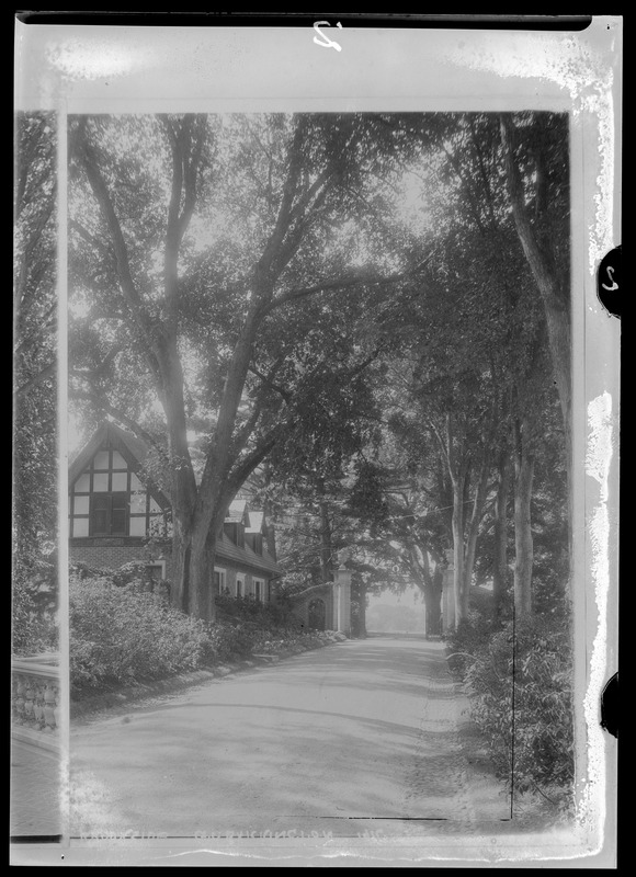 Brookside