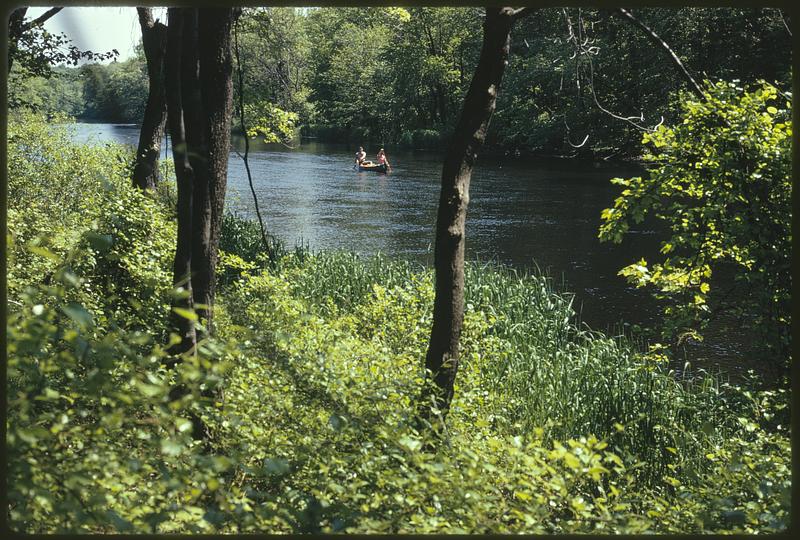 Charles River Audubon Society Reservation at Natick off Rt. 16