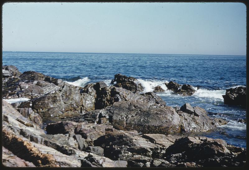 Along Maine beach Digital Commonwealth