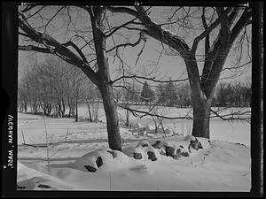 Landscape, Wenham