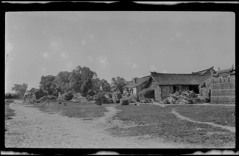 Village scene showing rice bundles