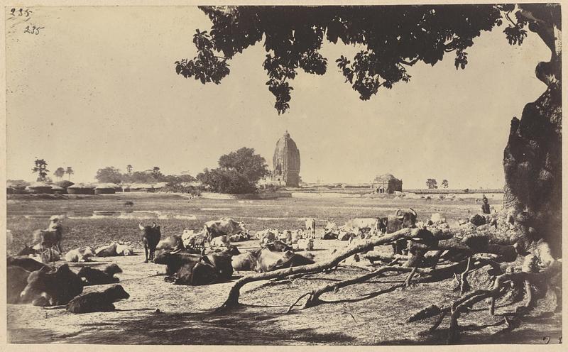 Distant view of temple at Konch and cenotaphs, India