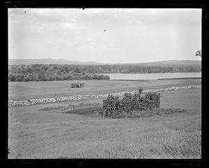 Fields with old stone fence, horse drawn cart in distance