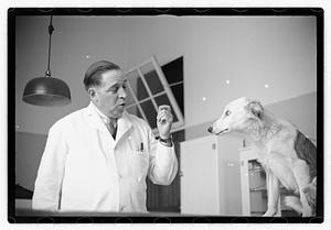 Dr. Dailey Angell Memorial Animal Hospital