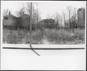 Elmore Street, Roxbury, Boston