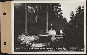 Beaver Brook at Pepper's mill pond dam, Ware, Mass., 8:50 AM, May 21, 1936