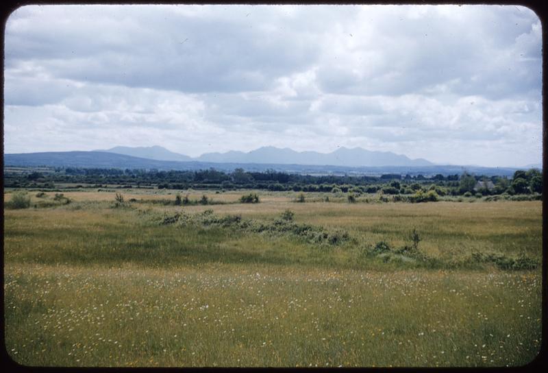 Uncle Dick's farm, Castleisland