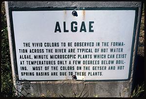 Sign with information on hot water algae, Yellowstone National Park