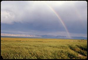 Rainbow over field with water and mountains in distance, likely Utah