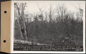 Contract No. 66, Regulating Dams, Middle Branch (New Salem), and East Branch of the Swift River, Hardwick and Petersham (formerly Dana), looking northerly, showing swamp east of the east branch and south of the Dana Center-Barre Road, east branch regulating dam, Hardwick, Mass., Dec. 14, 1938