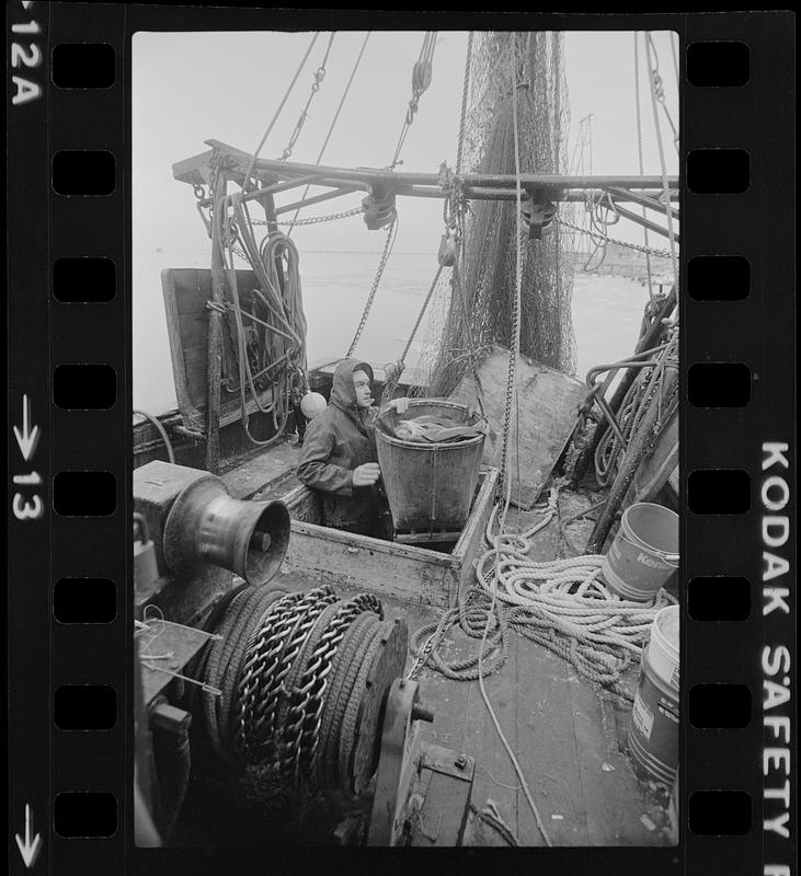 Fisherman moving fish on a boat