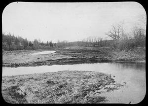 View of a stream