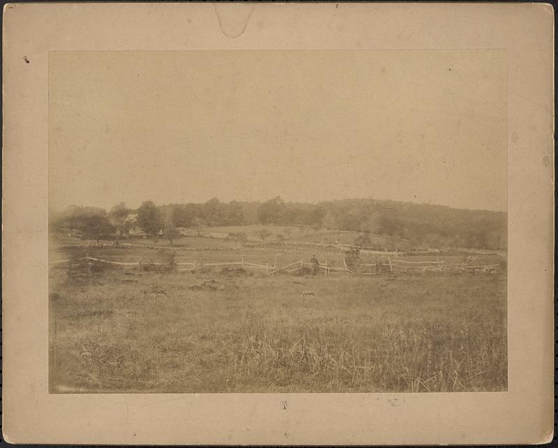 Pasture of Billings Farm at Moose Hill, Billings Court